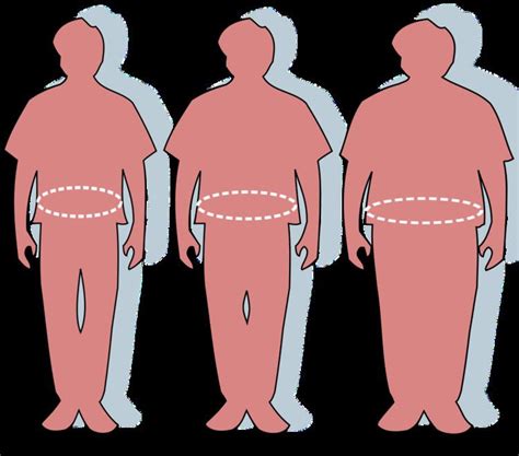 Waist - Alchetron, The Free Social Encyclopedia