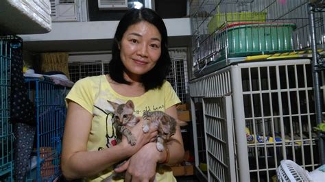 香港動物政策網誌: 曾發現流浪貓留下的斷掌 決心做義工為貓尋家