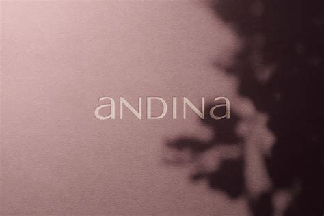 Andina on Behance