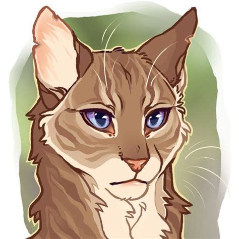 Викторина | 😼Коты-воители😼|книга|catwar Amino