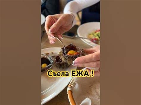 Изысканные морские деликатесы #морскойёж #seafood #дарыморя - YouTube