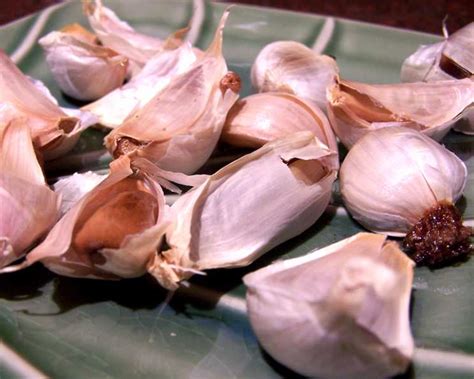 roasted garlic recipe foodcom