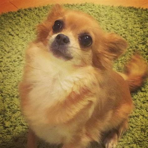 Tweets with replies by mymio (@mymio) | Twitter