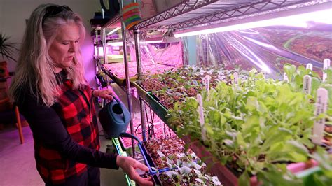 Unity Gardens' Sara Stewart wants everyone to have fresh, free food