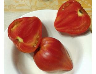 Купить семена томата Сердце абрикосовой зебры с доставкой в Москву ...