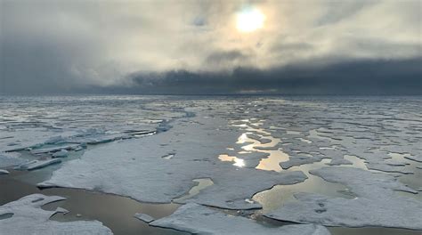 Arctic sea ice shrinks to 2nd lowest level in 42 years – RCI | English