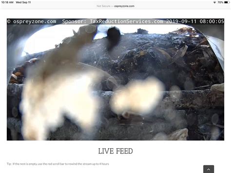 Osprey Zone - Live Osprey Cam - North Fork, Long Island, New York