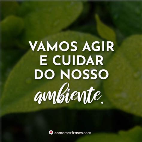 Frases Sobre O Meio Ambiente Curtas
