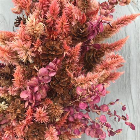 Terra Cotta Celosia Wreath (Currently Displayed at Flora and Fauna)