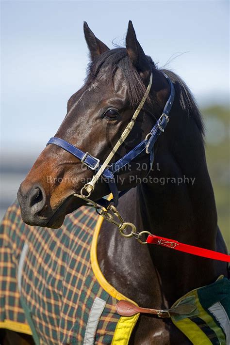 Pierro - a pictorial history
