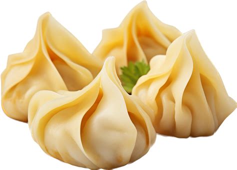 wonton   png