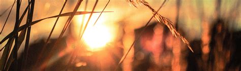 Our environmentally friendly lighting tips | Service.com.au
