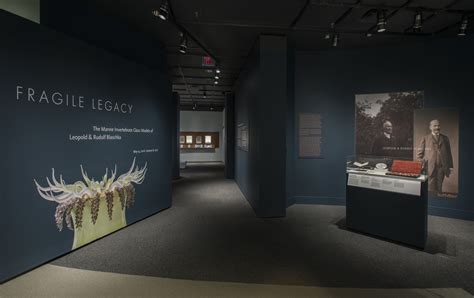 “Fragile Legacy", Corning Museum - Selldorf Architects - New York