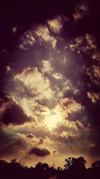 Premium Photo | Cloudy sky above forest