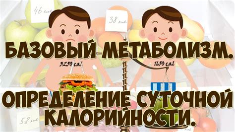Определение суточной калорийности. Расчет базового уровня метаболизма ...