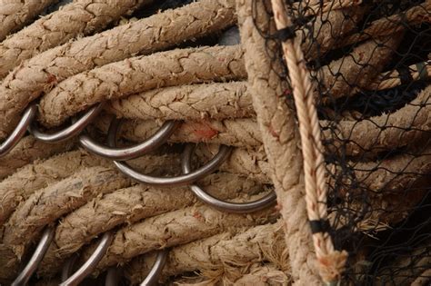 Rope, Plant, Twine Free Stock Photo | FreeImages