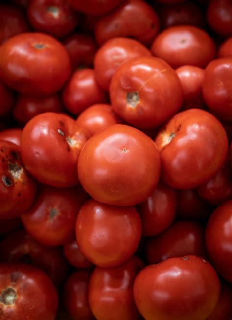 red tomato fruit  close  photography  stock photo