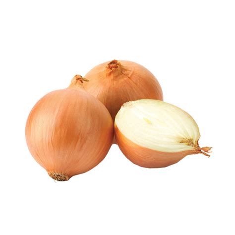 bawang besar nz imbasjaya sdn bhd