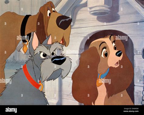 LADY AND THE TRAMP Stock Photo - Alamy