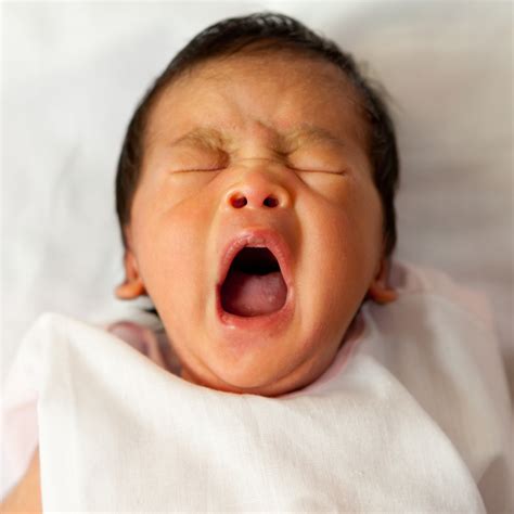 Foundations: the Key to Baby Sleep - Sleep by Steph