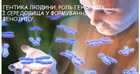 ГЕНТИКА ЛЮДИНИ. РОЛЬГЕНОТИПУ І СЕРЕДОВИЩА У ФОРМУВАННІ ФЕНОТИПУ ...