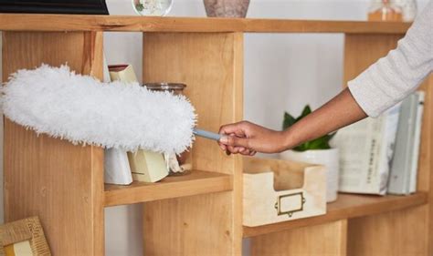 surprising amount  dust  gathers   house   year