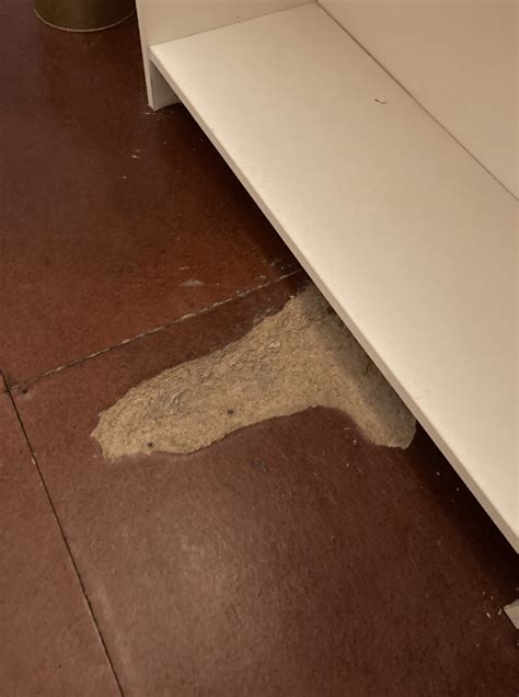 Any ideas how to fix my floor? : r/DIY