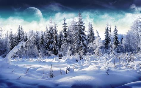 December · 2011 · Ukraine travel blog