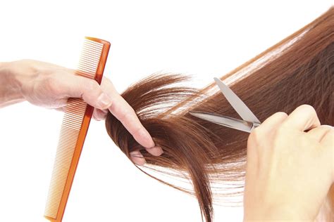 Как самой подстричь волосы: о способе сделать это “жгутами” | Beauty ...