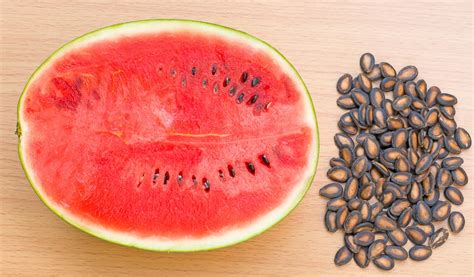 health benefits  watermelon seed  surprise