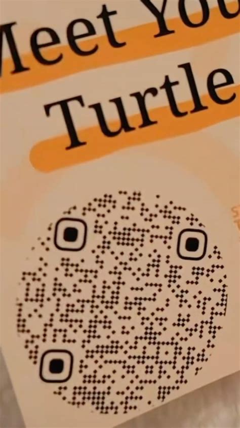 Donna Shello turtle qr code fahlo | Free qr code, Coding, Qr code