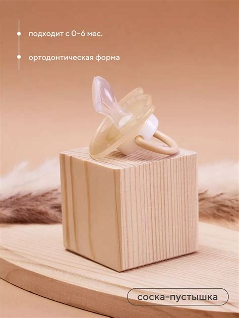 Соска-пустышка, ортодонтическая 0-6м Rant арт. 3005 beige — купить в ...