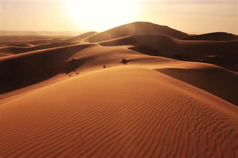 The vastness and size of the sand dunes are unbelievable. Sahara Desert
