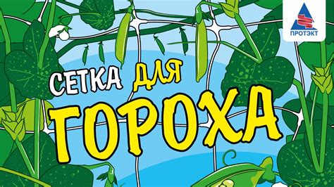 Установка опоры для гороха - YouTube