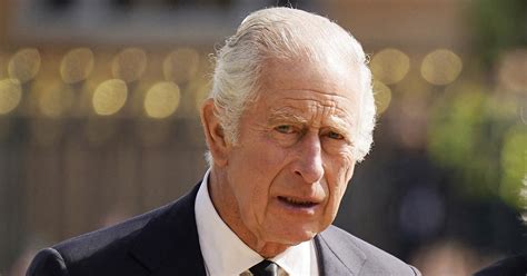 Meghan's Twitter Mole: A Royal Family Cover-Up? - vb2muka