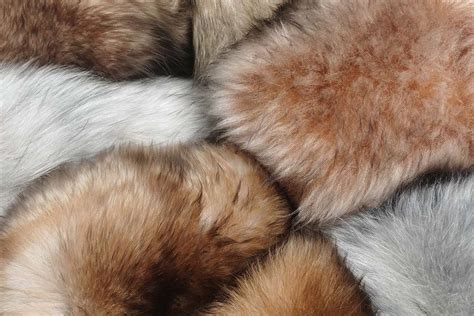 fur  collection   trend   fashion industry international leather maker