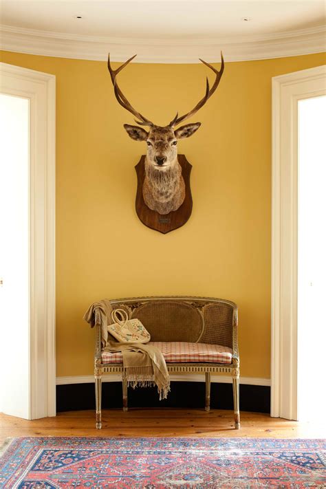 robert sanderson photographer details