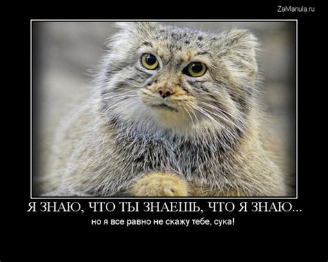 Я знаю, что ты знаешь, что я знаю...