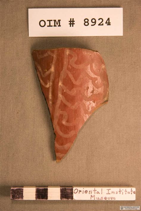 C-0015 · C-Ware sherd of bottle, neck · Predynastic Online Database