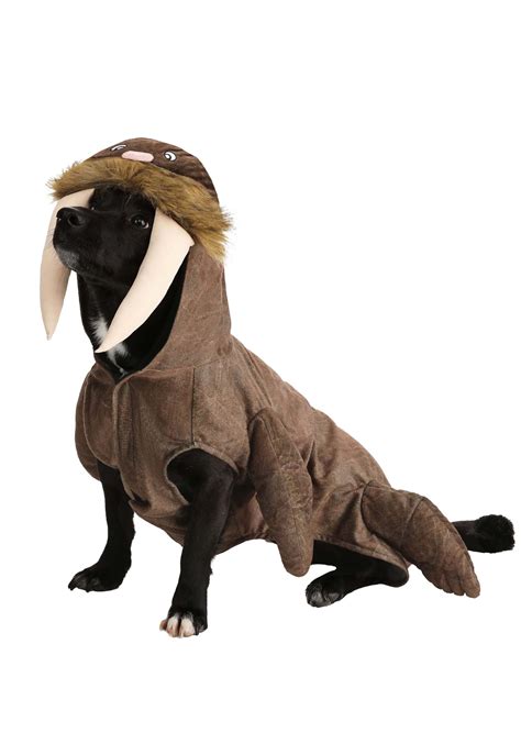 Walrus Pet Dog Costume