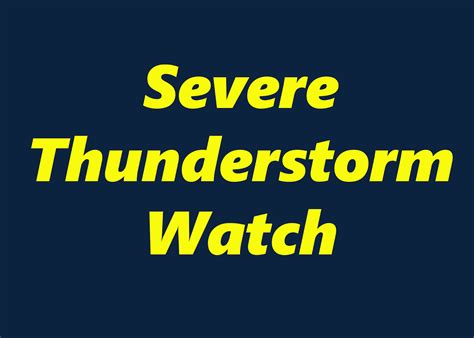 weather alert severe thunderstorm  issued  schuylkill county