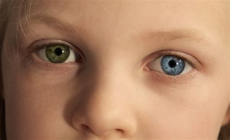 Premium AI Image | A close up of a child's eye with orange glitter on