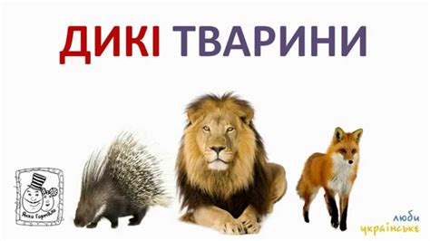 Дикі, свійські і домашні тварини - YouTube