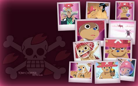 Tony Chopper Hito Hito no Mi by WOMDeimos on DeviantArt