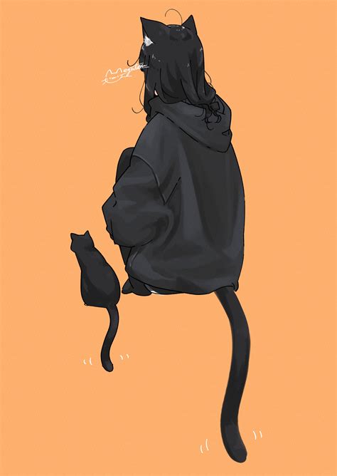 The Black Cat Story Summary 2