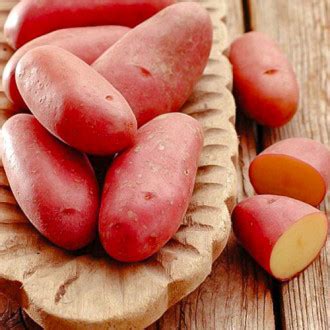 Купить клубни семенного картофеля с доставкой почтой в Минске, Беларуси ...