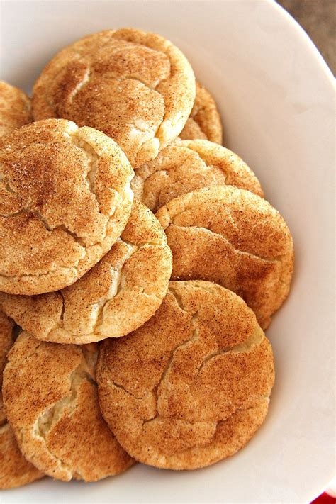 Fun Snickerdoodle
