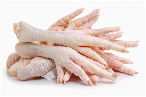 Can Dogs Eat Chicken Feet? What You Need To Know