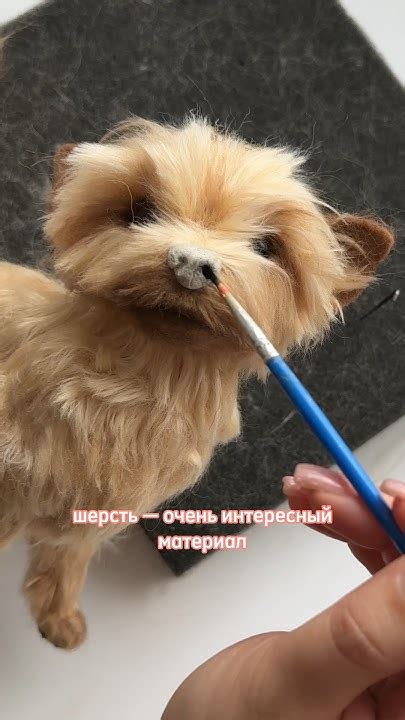 Миниатюра йорка из шерсти 😍 #йорк #йоркширскийтерьер #сухоеваляние # ...