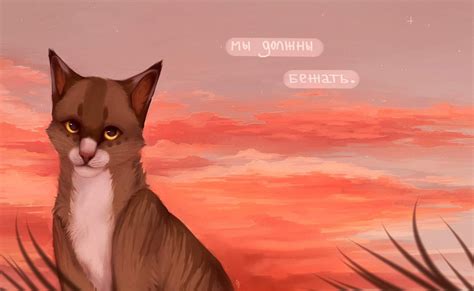 Солнце звезд коты воители - фото и картинки abrakadabra.fun